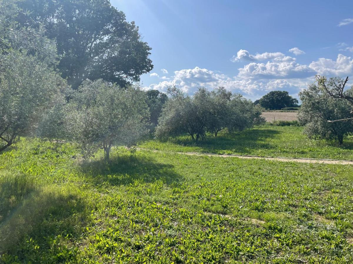 Sous Les Etoiles En Provence, Gite Les Grands Chenes Lurs Dış mekan fotoğraf
