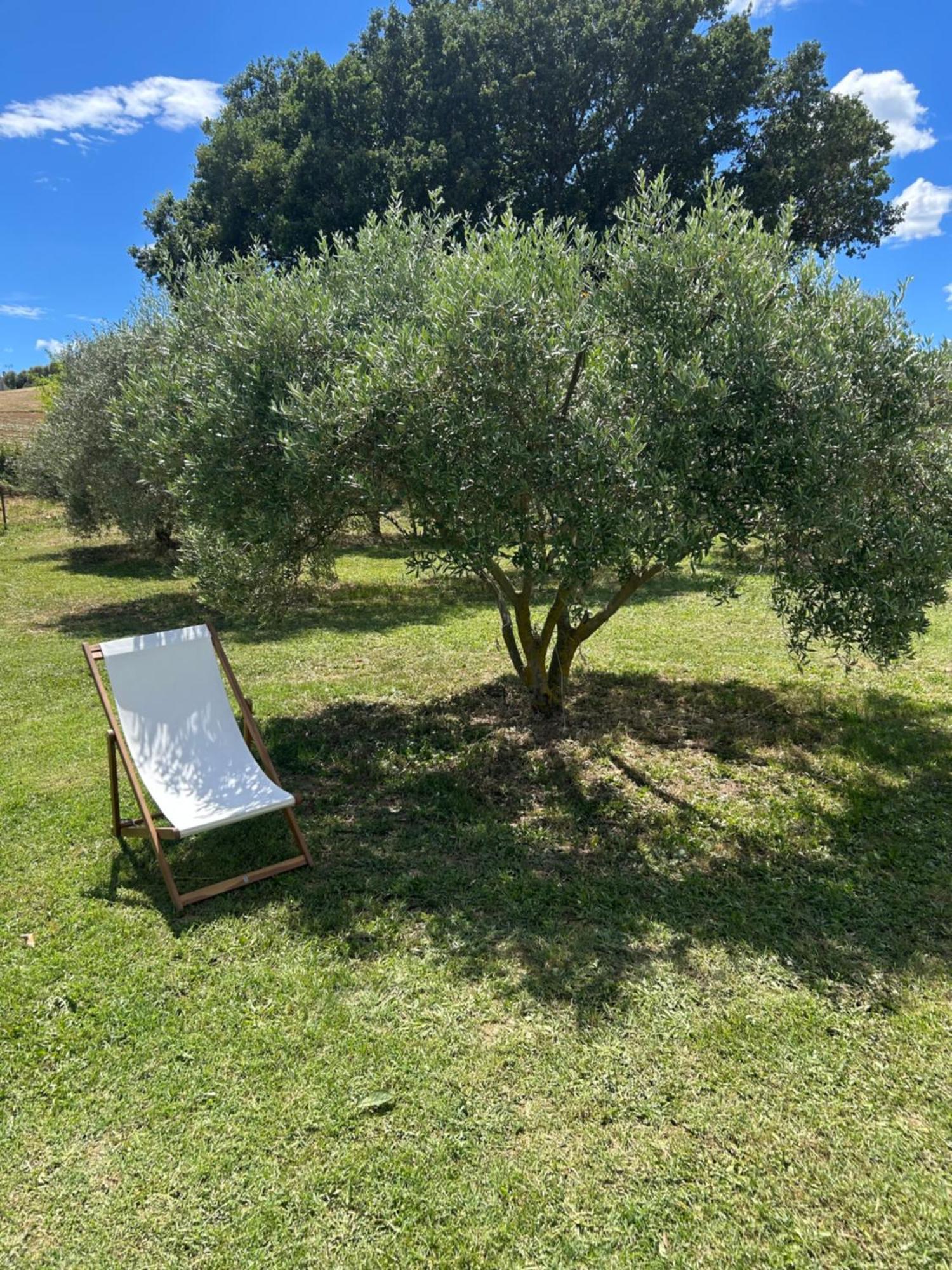 Sous Les Etoiles En Provence, Gite Les Grands Chenes Lurs Dış mekan fotoğraf