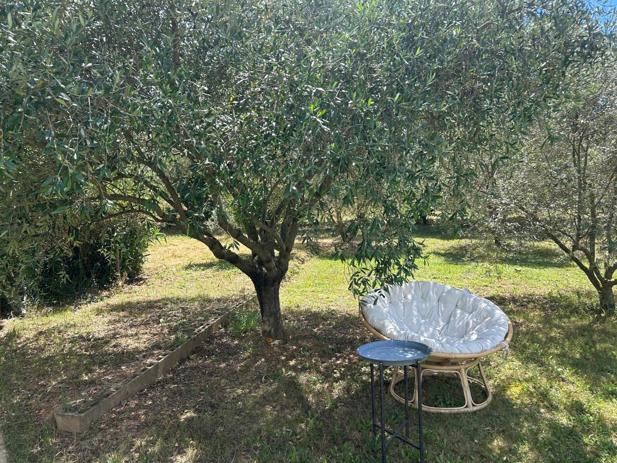 Sous Les Etoiles En Provence, Gite Les Grands Chenes Lurs Dış mekan fotoğraf