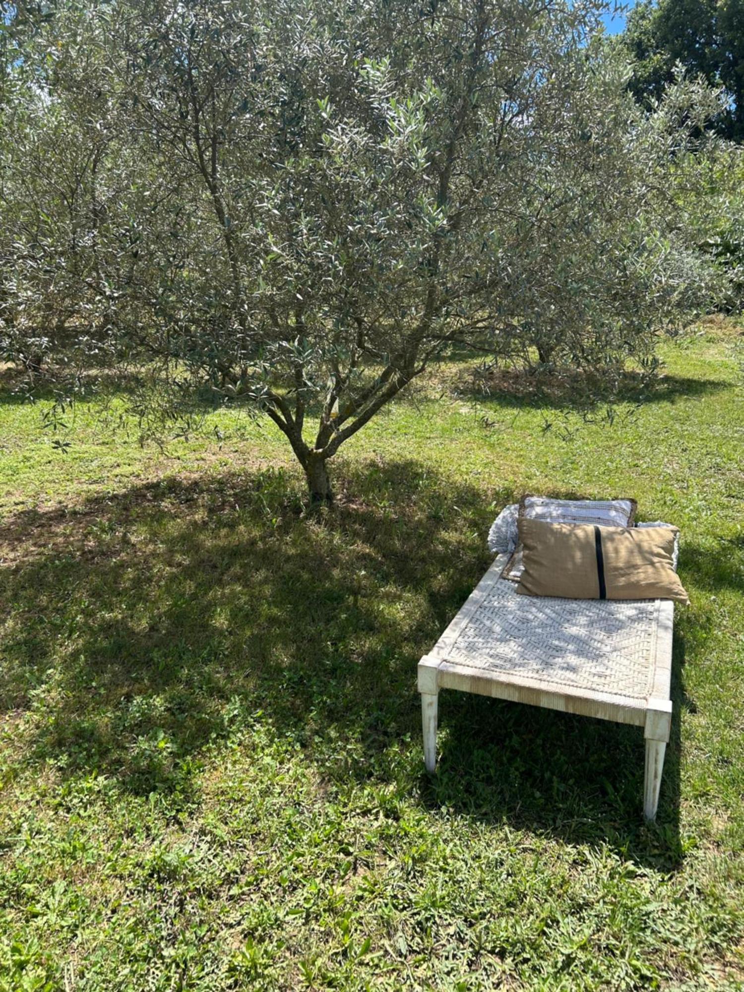Sous Les Etoiles En Provence, Gite Les Grands Chenes Lurs Dış mekan fotoğraf